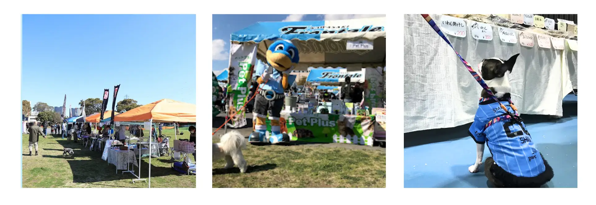 イベントで予定されているマーケットなどの紹介画像